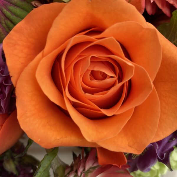 Orange Wave - Image 3